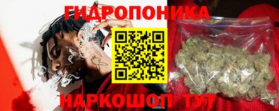 шишки Партизанск