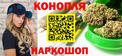шишки Партизанск