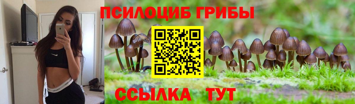 Галлюциногенные грибы прущие грибы Серпухов